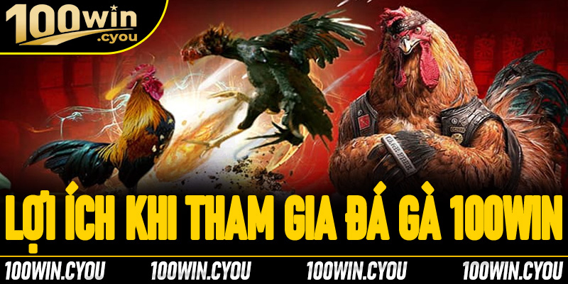 Lợi ích khi tham gia đá gà trực tuyến tại 100Win